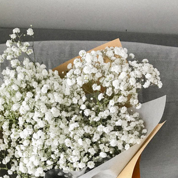 Fresh Blooms: Fair Lady