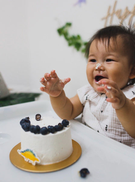 Cake + Cake Smash